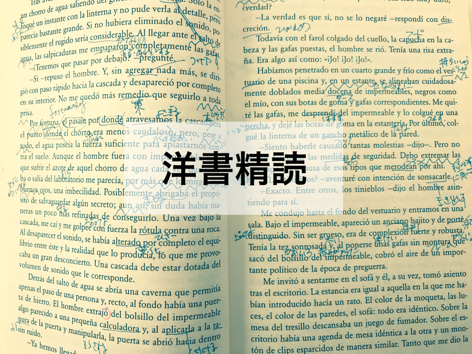 語学学習法 洋書精読を一か月間ほぼ毎日続けてみた結果報告 花より他に知る人もなし